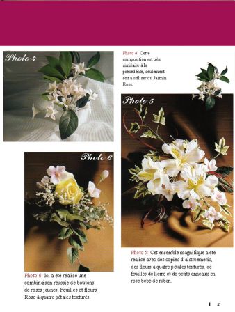 2003 n°01 p05porcelana fria flores francais