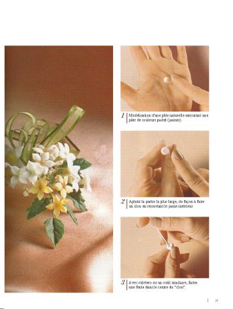 2003 n°01 p11porcelana fria flores francais