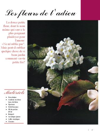 2003 n°01 p17porcelana fria flores francais