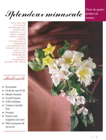 2003 n°01 p19porcelana fria flores francais