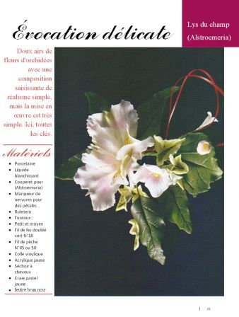 2003 n°01 p23porcelana fria flores francais