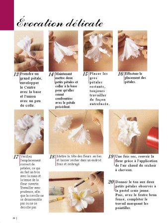 2003 n°01 p26porcelana fria flores francais