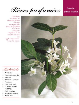 2003 n°01 p27porcelana fria flores francais